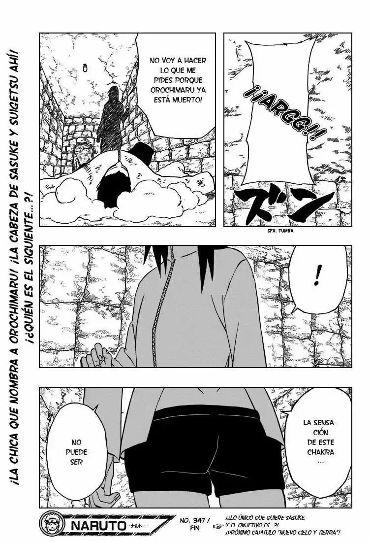 Naruto (1999) - Capítulo 347 - Página 17 - LectorTMOo