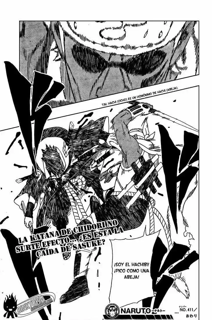 Naruto (1999) - Capítulo 411 - Página 19 - LectorTMOo