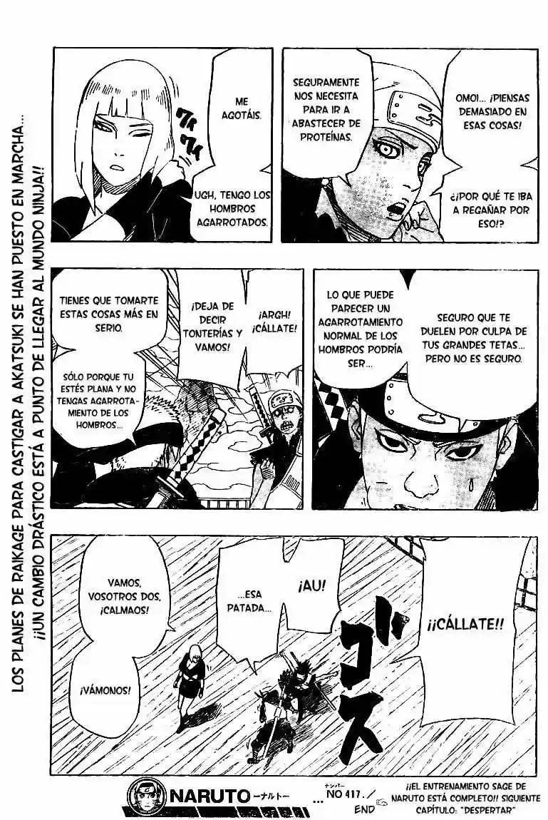 Naruto (1999) - Capítulo 417 - Página 17 - LectorTMOo