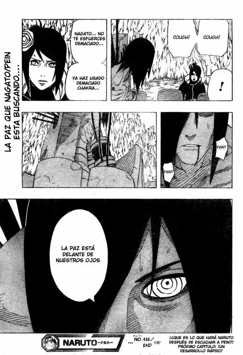 Naruto (1999) - Capítulo 436 - Página 17 - LectorTMOo