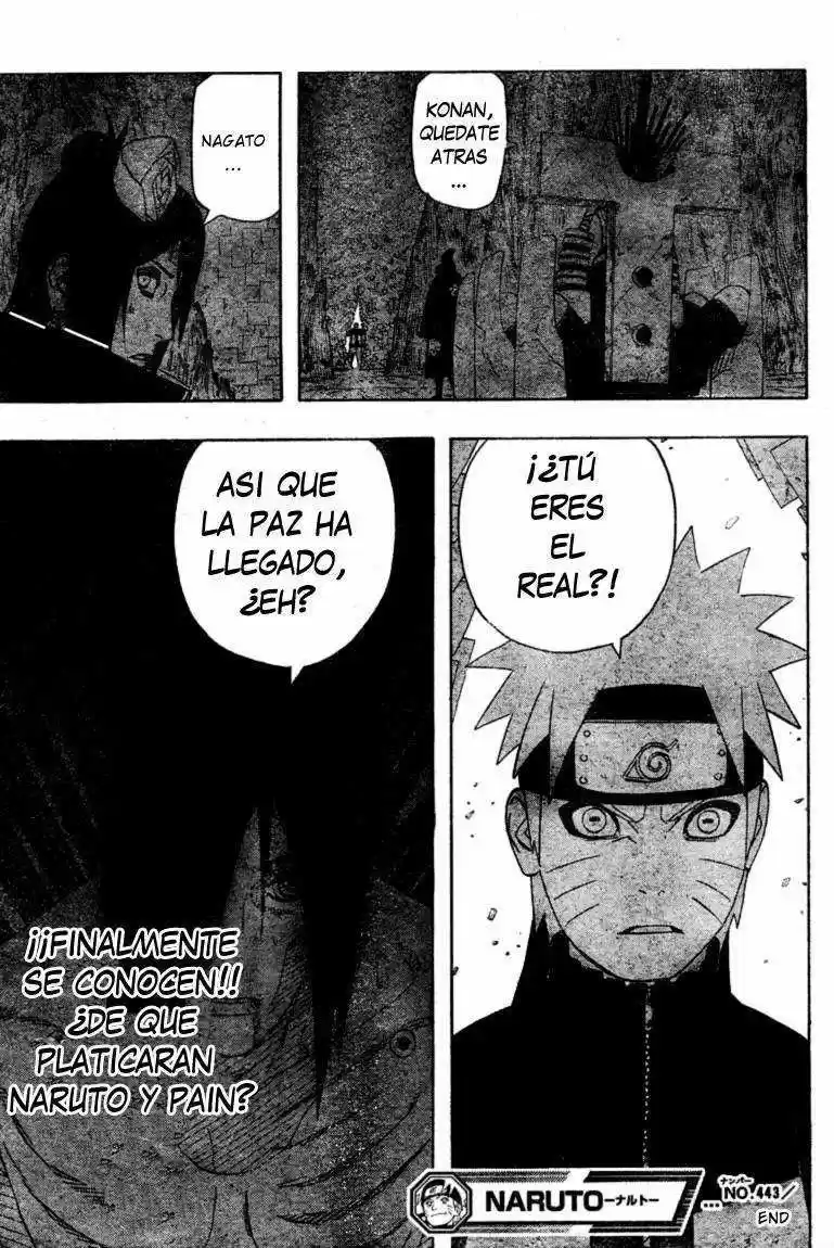 Naruto (1999) - Capítulo 443 - Página 17 - LectorTMOo
