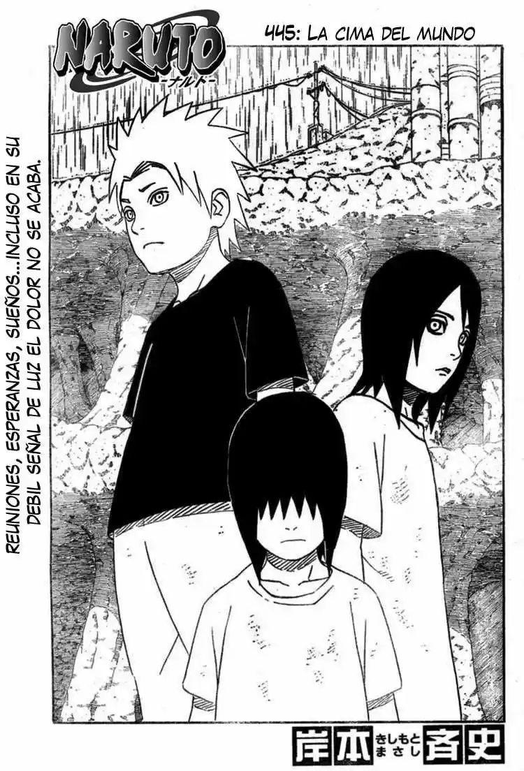 Naruto (1999) - Capítulo 445 - Página 1 - LectorTMOo
