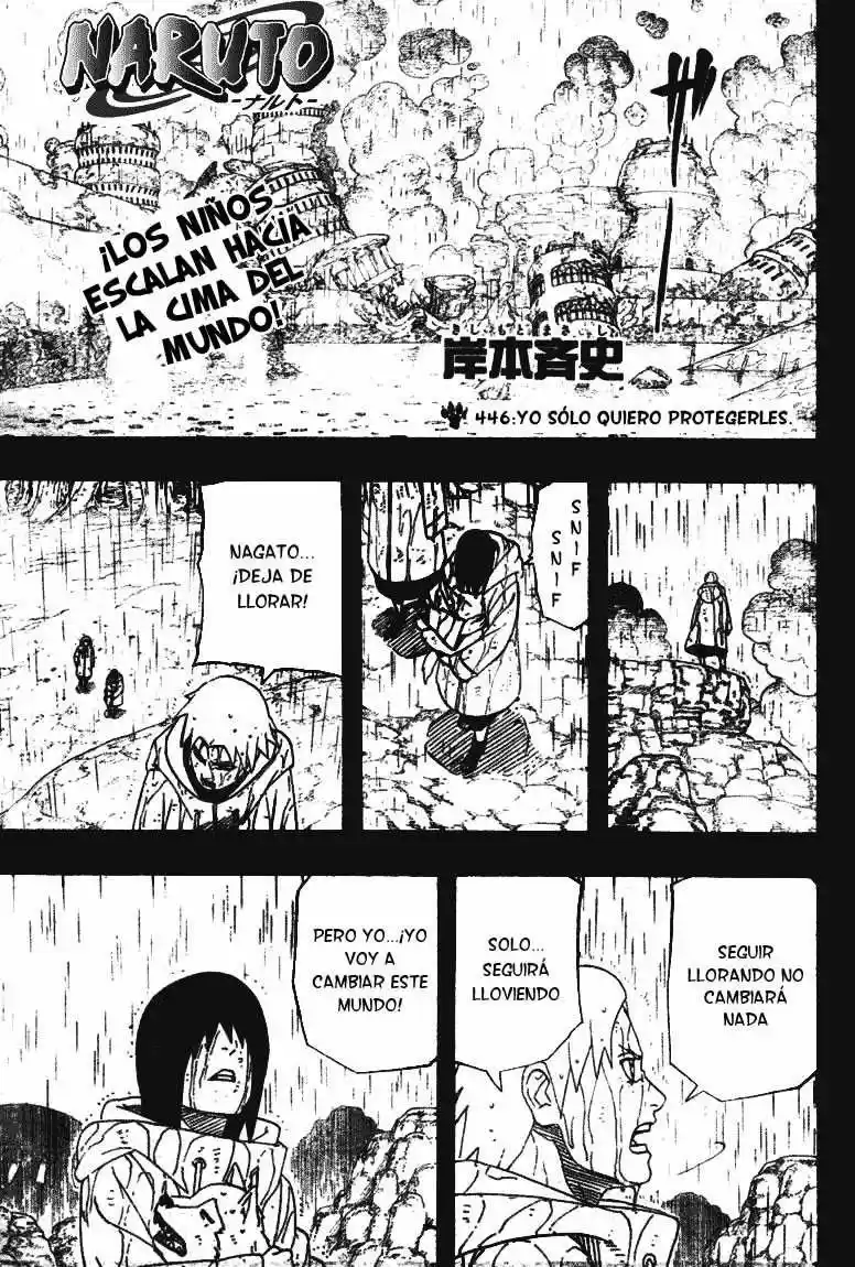 Naruto (1999) - Capítulo 446 - Página 1 - LectorTMOo