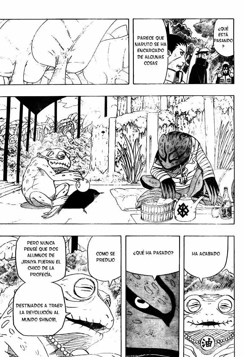 Naruto (1999) - Capítulo 449 - Página 5 - LectorTMOo