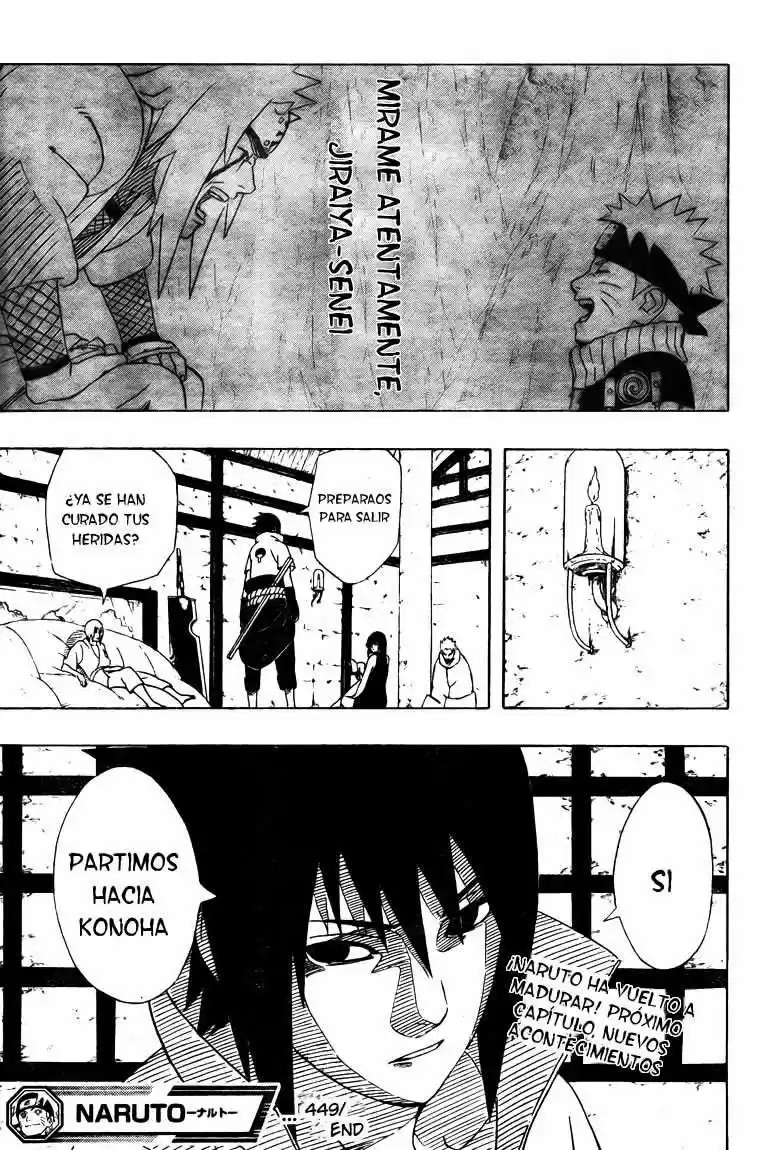 Naruto (1999) - Capítulo 449 - Página 17 - LectorTMOo