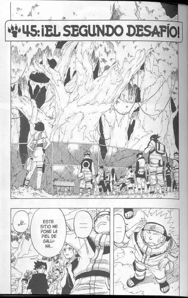 Naruto (1999) - Capítulo 45 - Página 1 - LectorTMOo