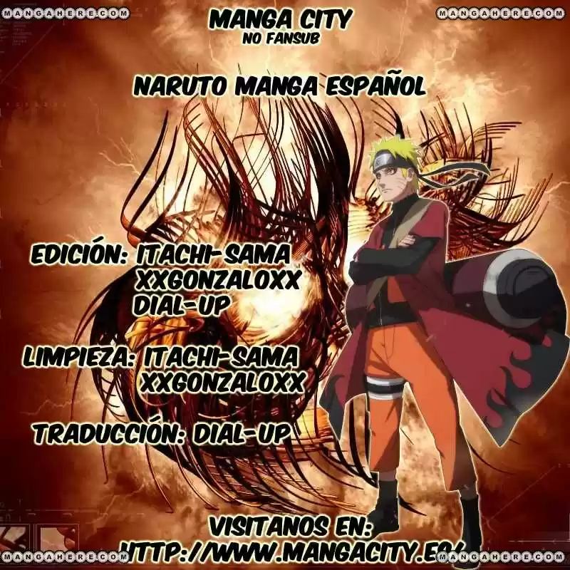 Naruto (1999) - Capítulo 458 - Página 17 - LectorTMOo