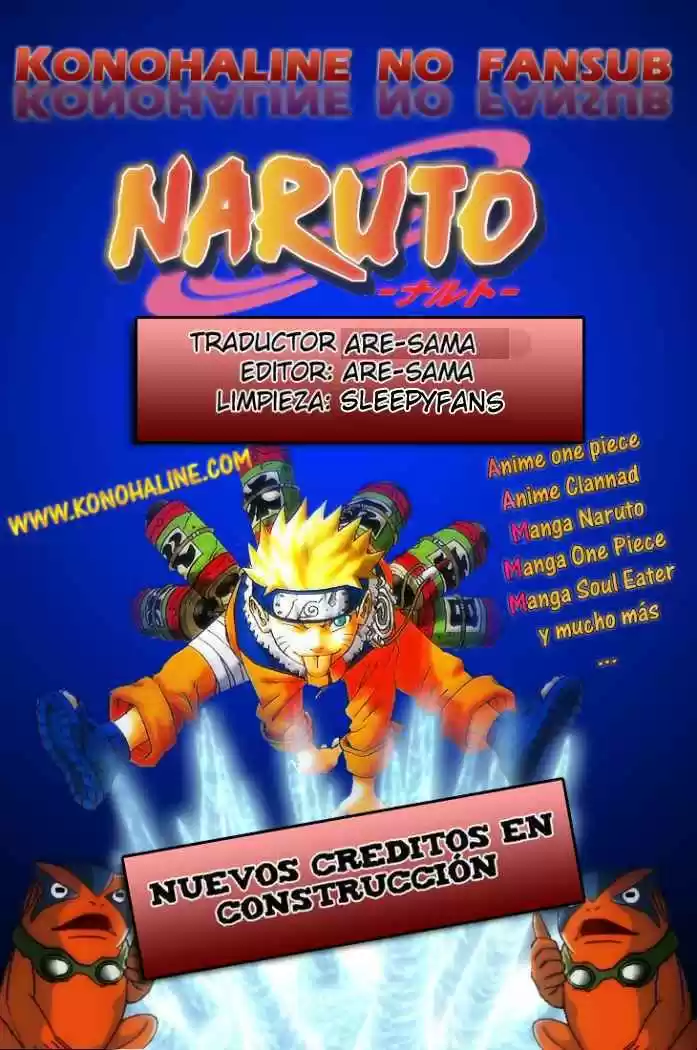 Naruto (1999) - Capítulo 462 - Página 17 - LectorTMOo