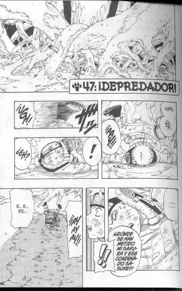 Naruto (1999) - Capítulo 47 - Página 1 - LectorTMOo