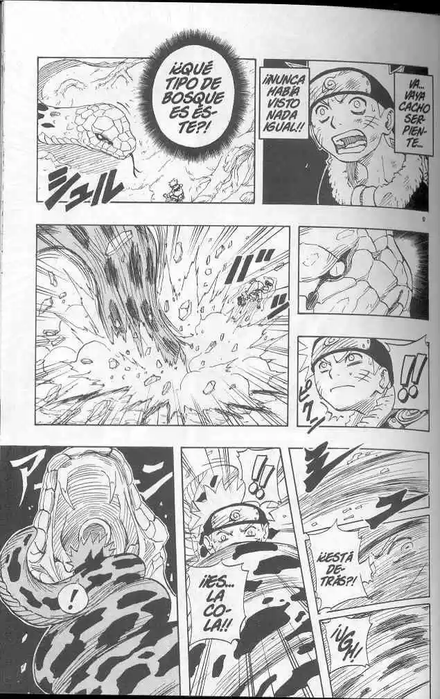 Naruto (1999) - Capítulo 47 - Página 3 - LectorTMOo