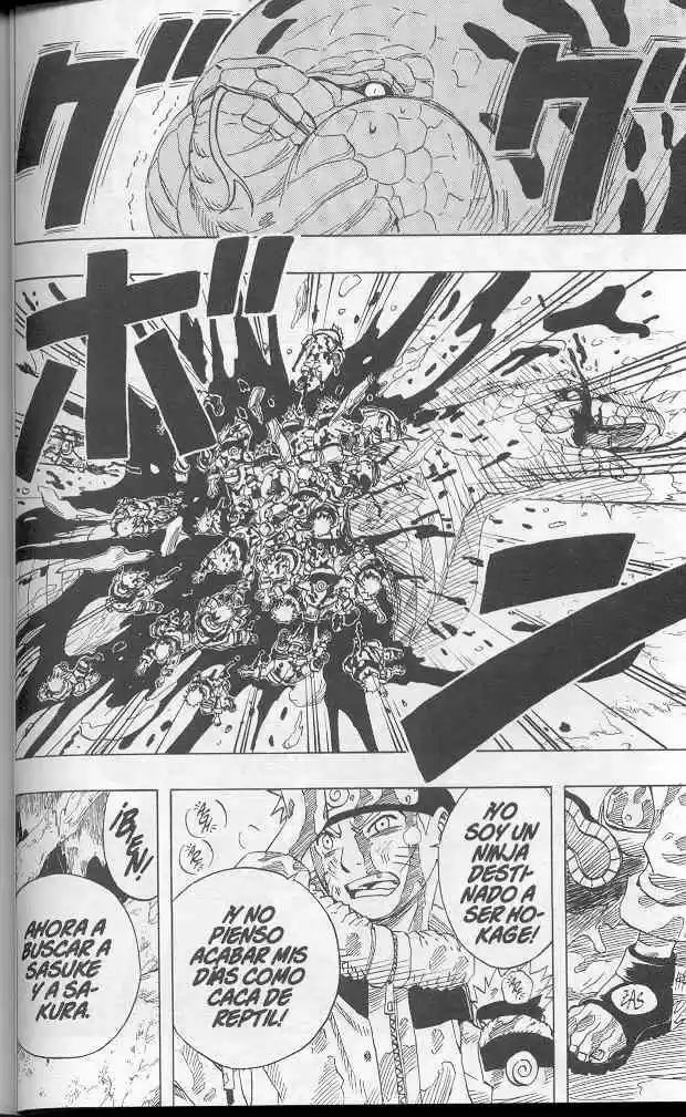 Naruto (1999) - Capítulo 47 - Página 14 - LectorTMOo