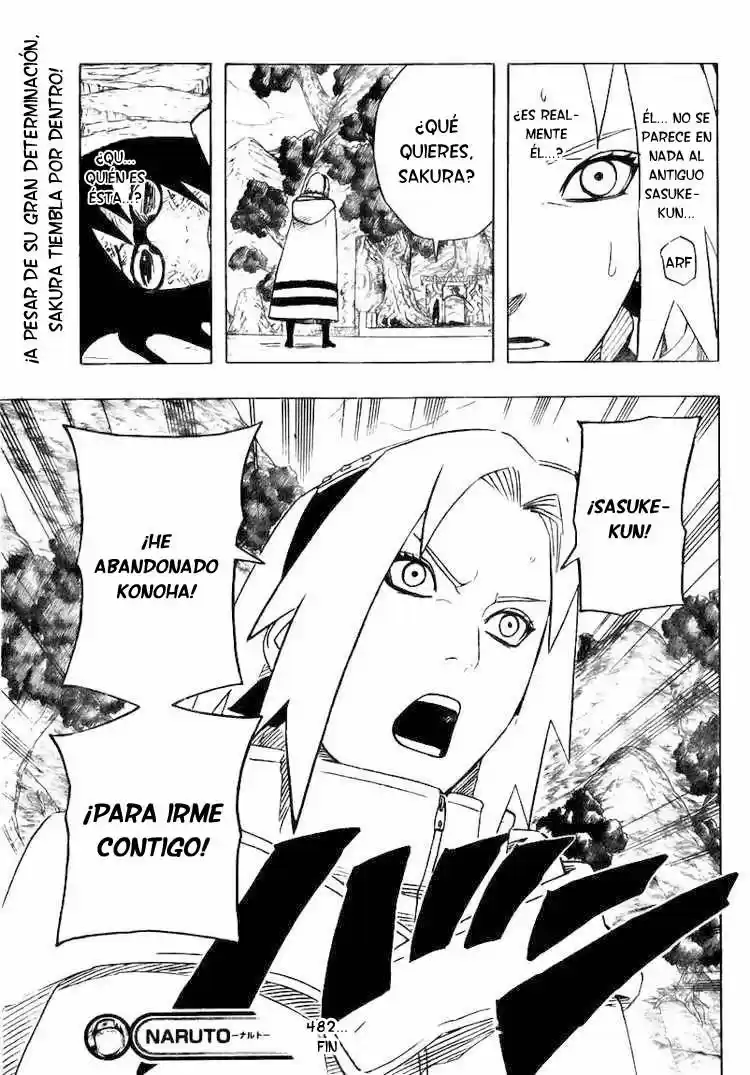 Naruto (1999) - Capítulo 482 - Página 17 - LectorTMOo