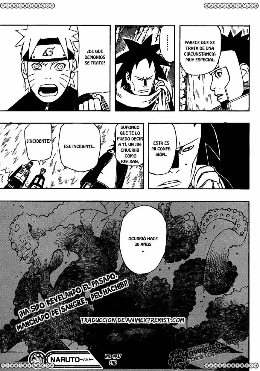 Naruto (1999) - Capítulo 493 - Página 17 - LectorTMOo