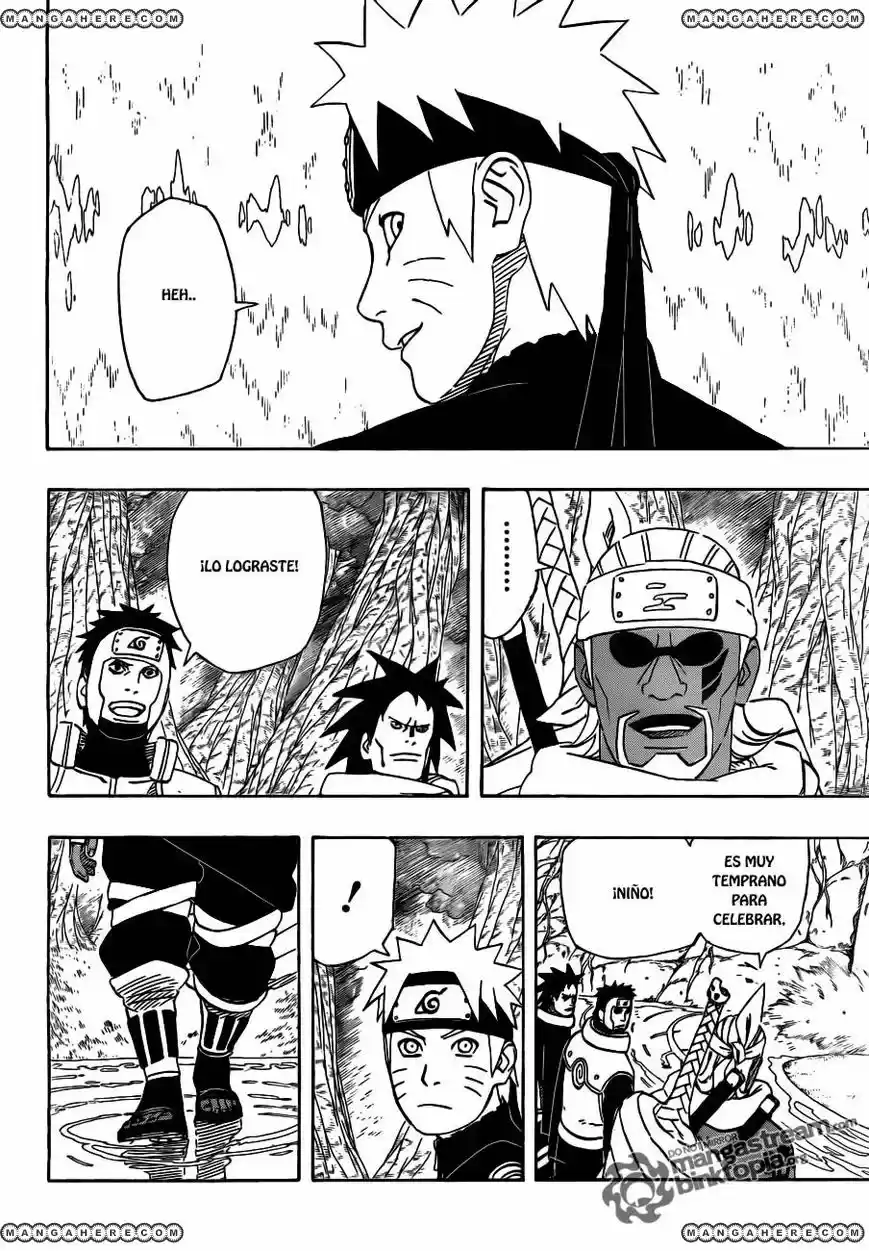 Naruto (1999) - Capítulo 495 - Página 14 - LectorTMOo