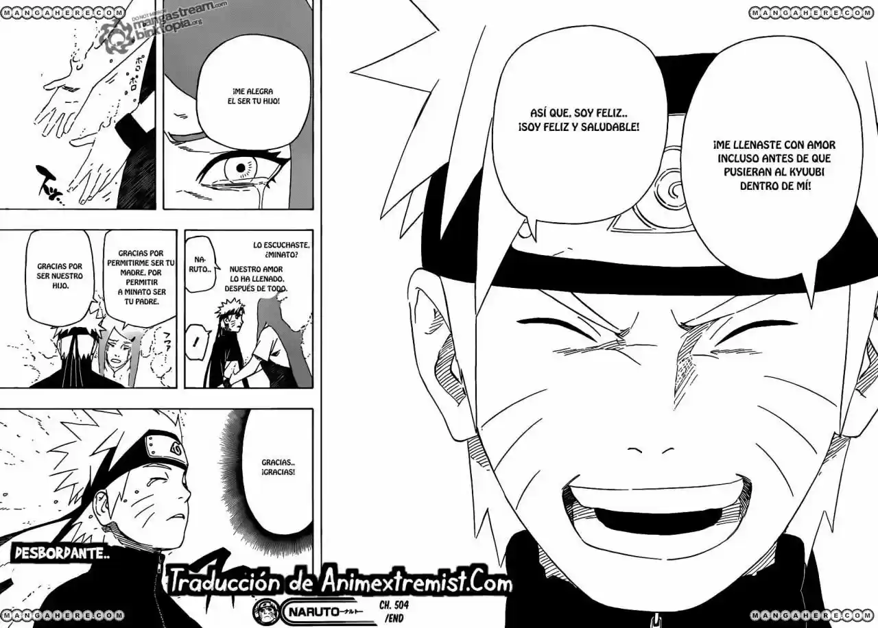 Naruto (1999) - Capítulo 504 - Página 15 - LectorTMOo