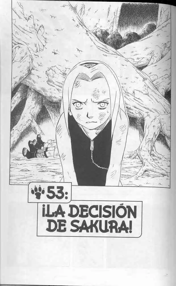 Naruto (1999) - Capítulo 53 - Página 1 - LectorTMOo
