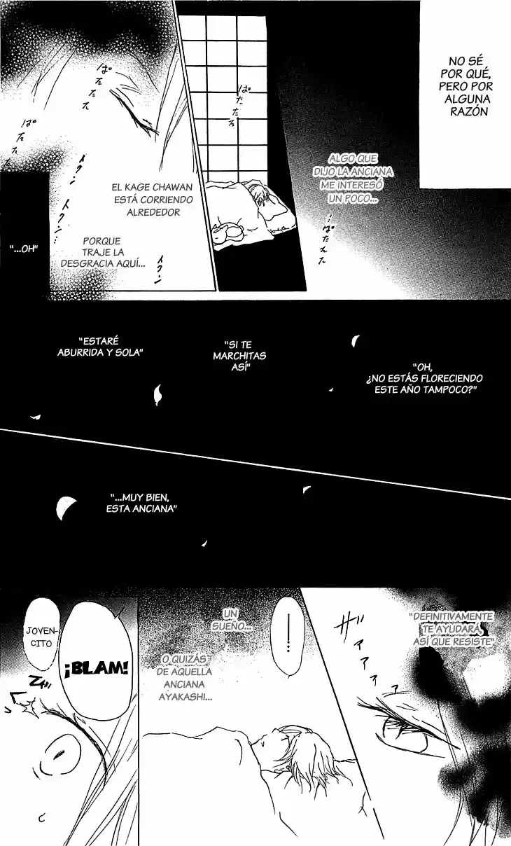 Natsume Yuujinchou (2003) - Capítulo 48 - Página 15 - LectorTMOo
