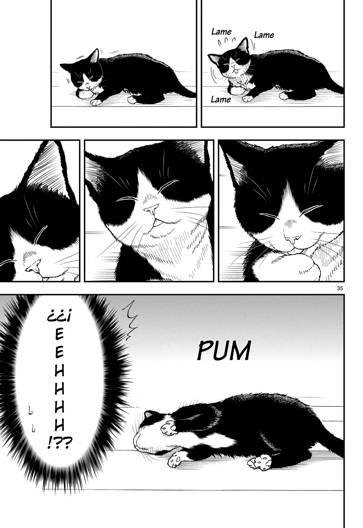 Neko Gurashi no Gamer-san (2018) - Capítulo 1 - Página 35 - LectorTMOo