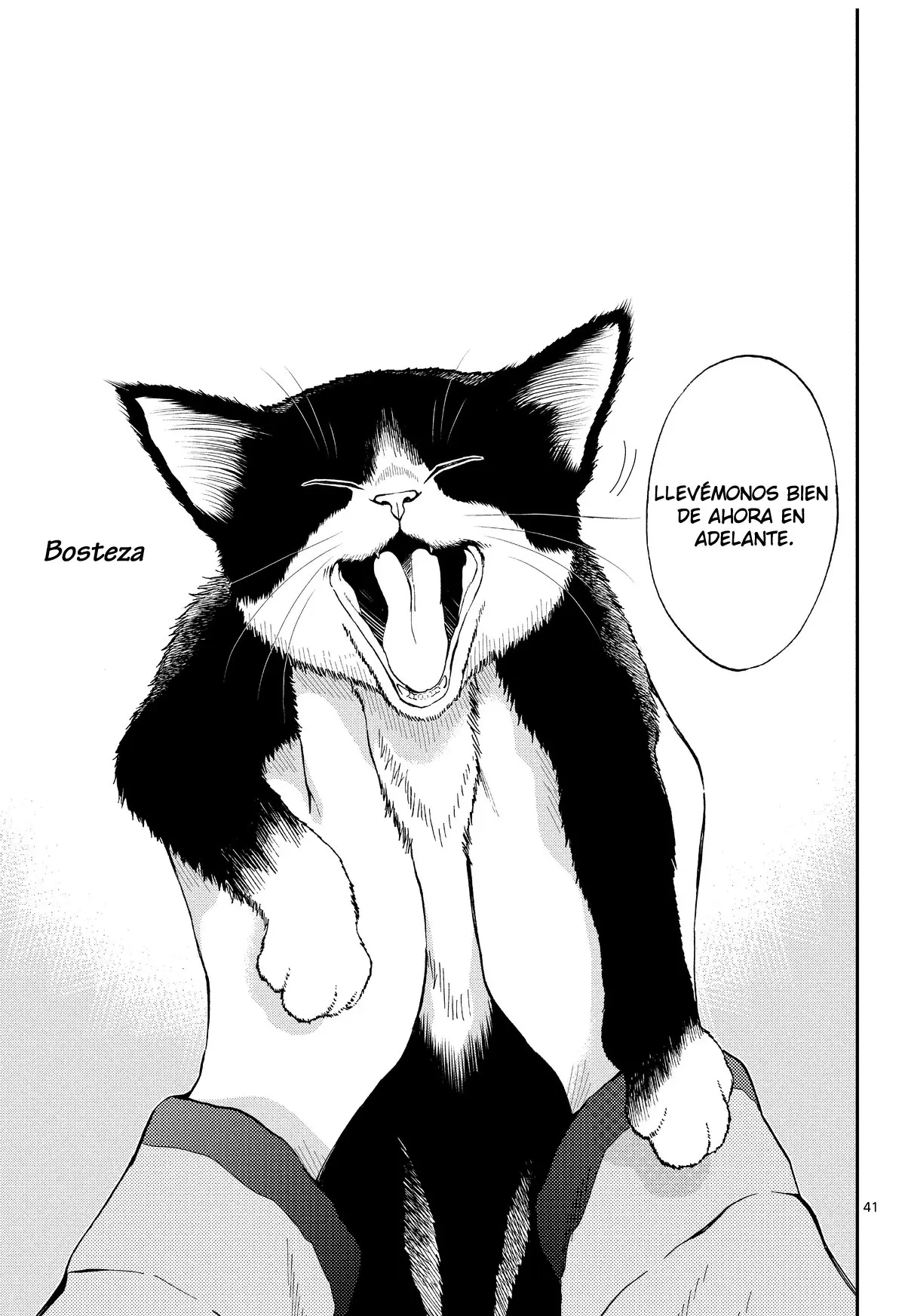 Neko Gurashi no Gamer-san (2018) - Capítulo 1 - Página 41 - LectorTMOo