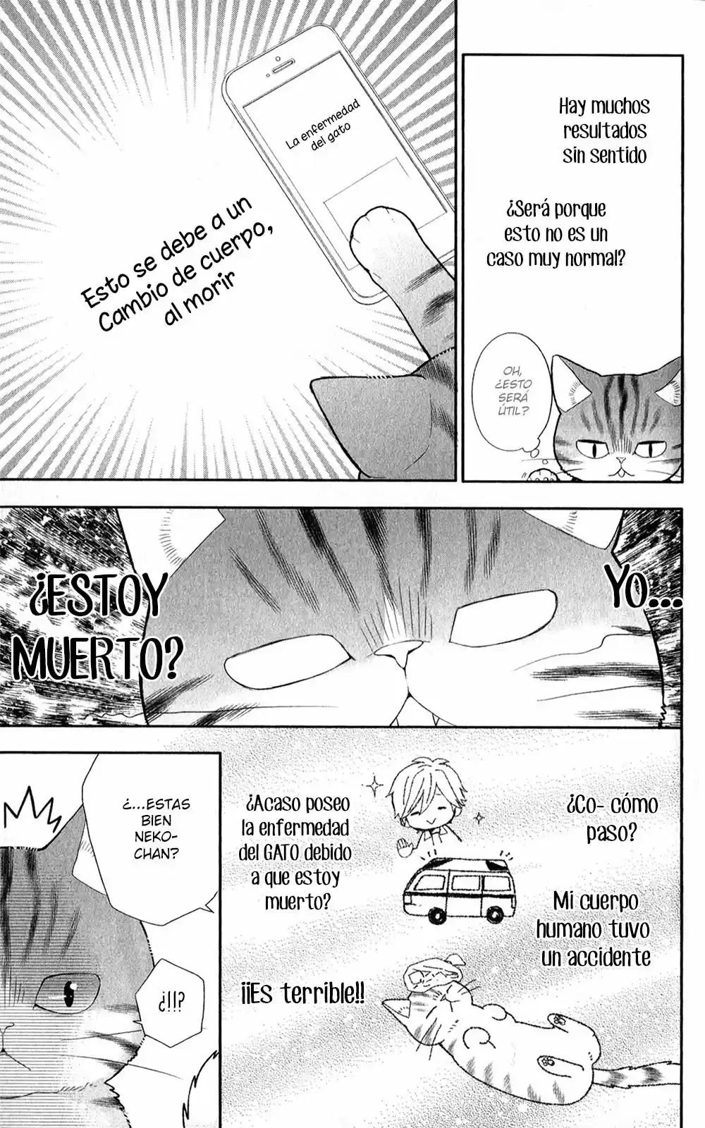 Neko, hajimemashita (2015) - Capítulo 4 - Página 12 - LectorTMOo