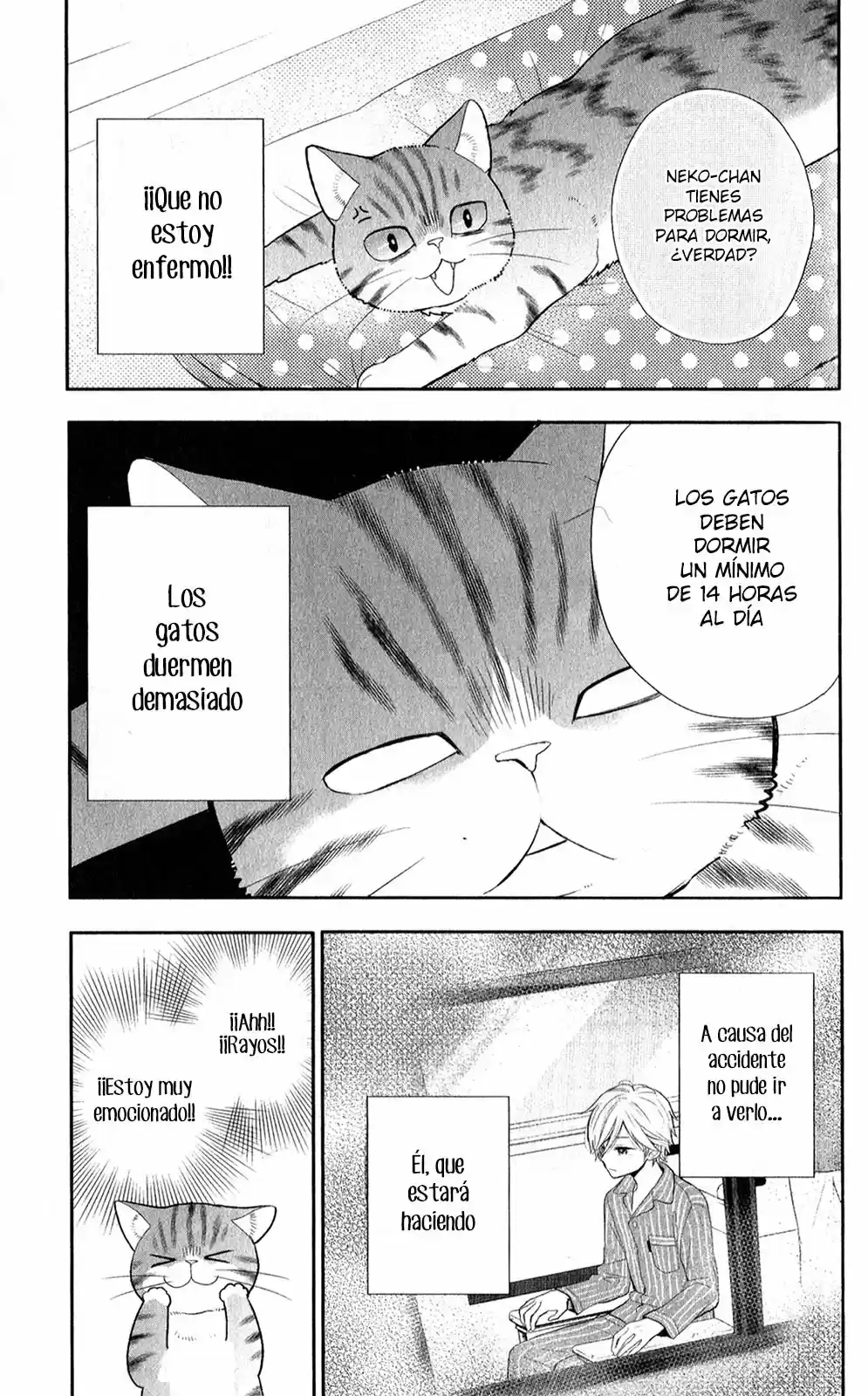 Neko, hajimemashita (2015) - Capítulo 4 - Página 24 - LectorTMOo