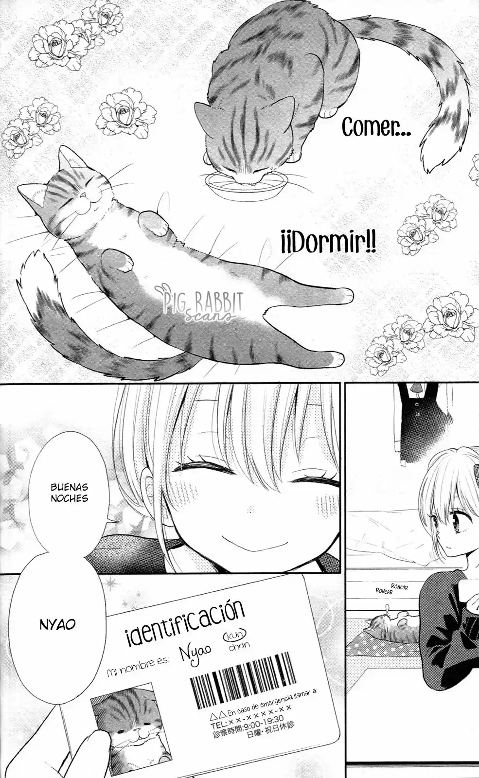 Neko, hajimemashita (2015) - Capítulo 4 - Página 25 - LectorTMOo