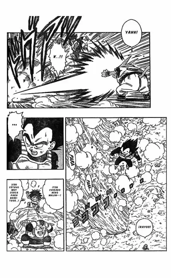 Neko Majin Z (2001) - Capítulo 5 - Página 14 - LectorTMOo