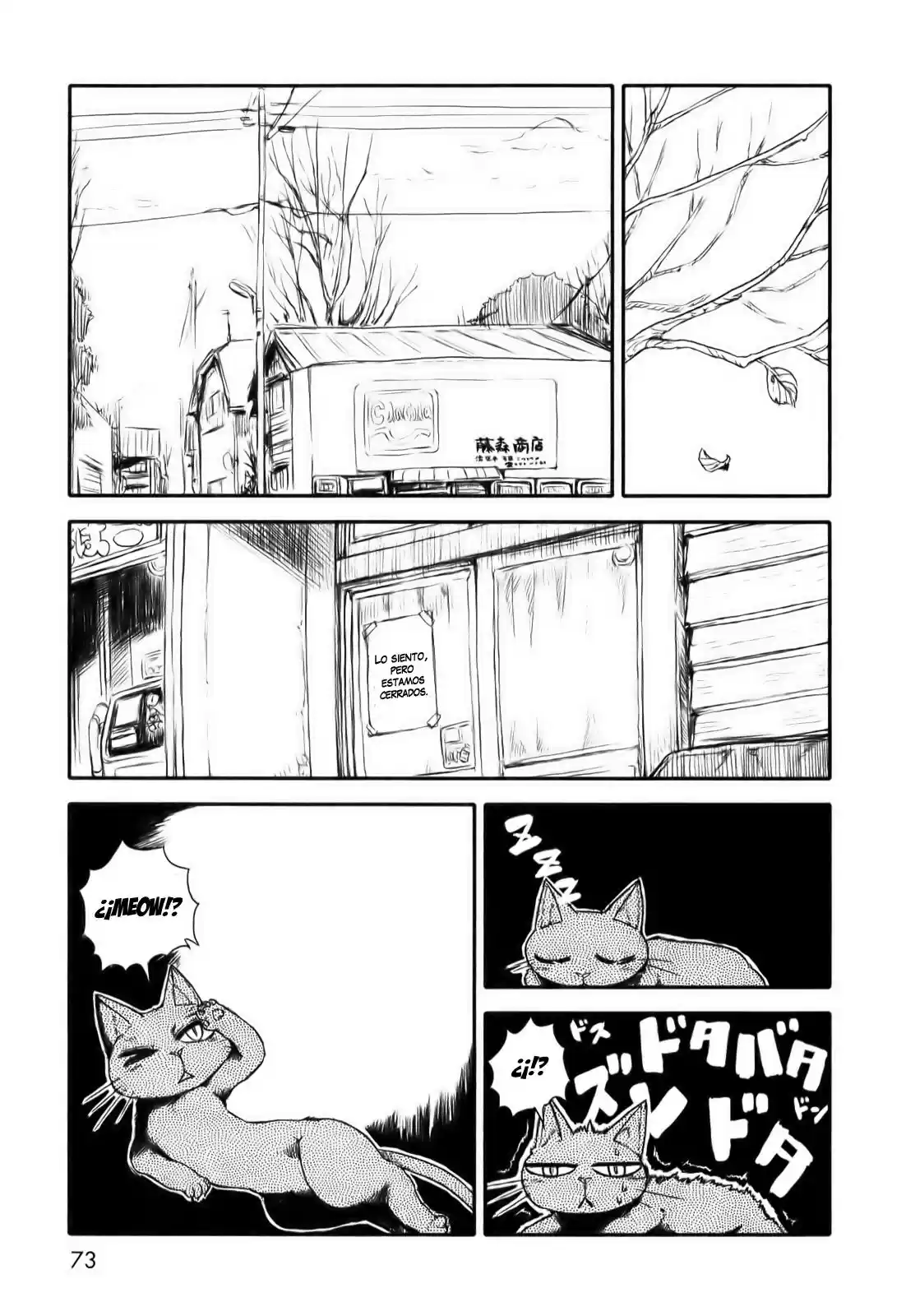 Neko Musume Michikusa Nikki (2008) - Capítulo 9 - Página 1 - LectorTMOo