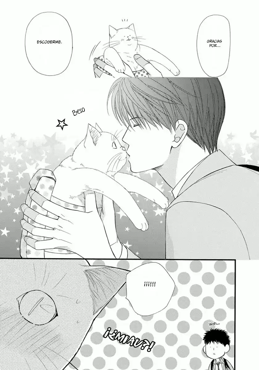 Neko Neko Honey (2011) - Capítulo 6 - Página 36 - LectorTMOo