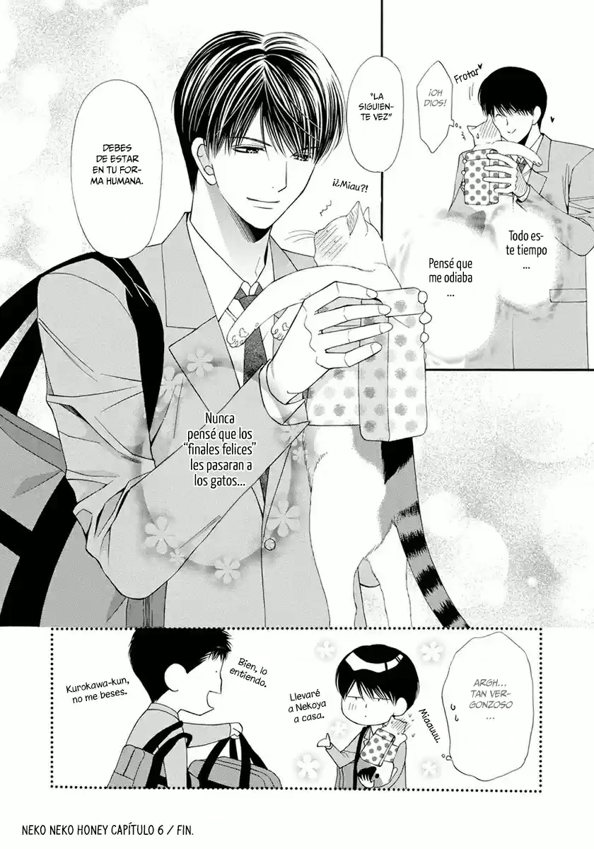 Neko Neko Honey (2011) - Capítulo 6 - Página 37 - LectorTMOo
