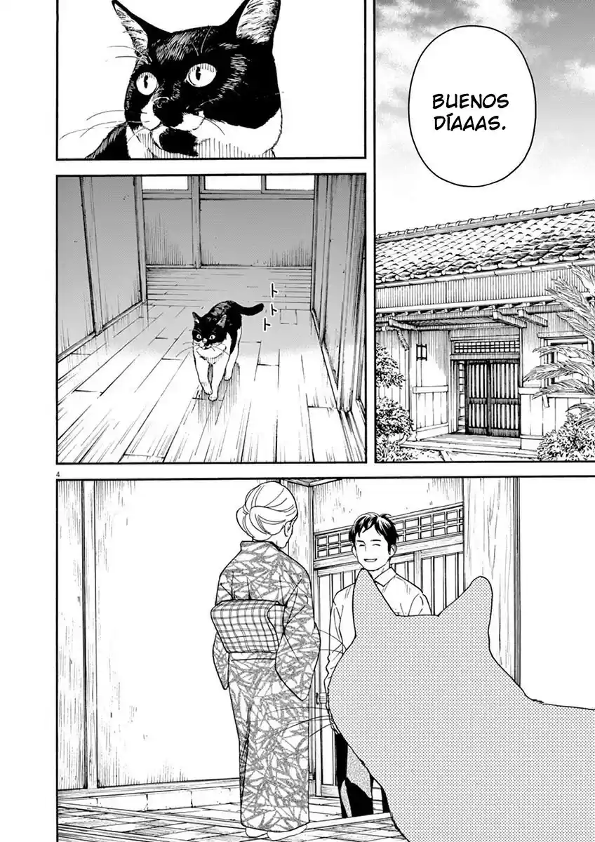 Neko no Otera no Chion-san (2017) - Capítulo 12 - Página 5 - LectorTMOo