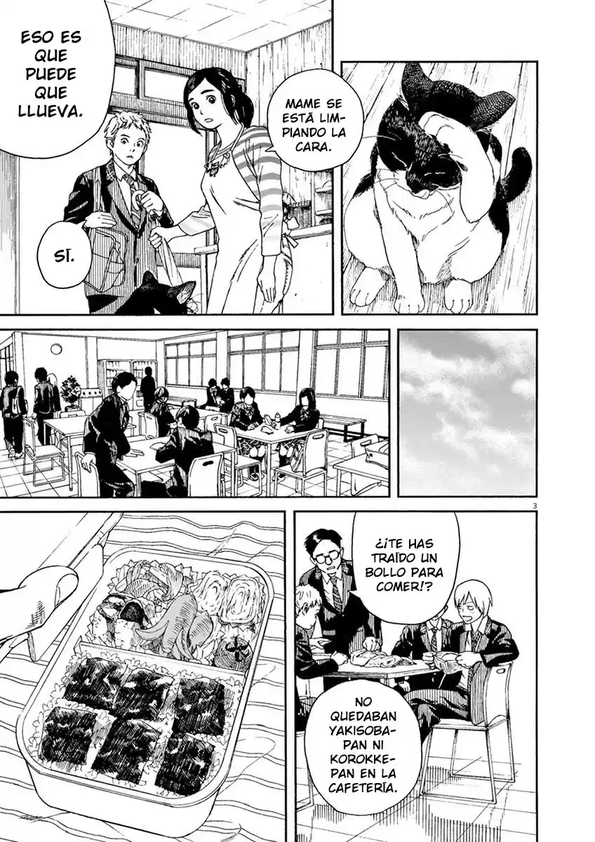 Neko no Otera no Chion-san (2017) - Capítulo 14 - Página 3 - LectorTMOo