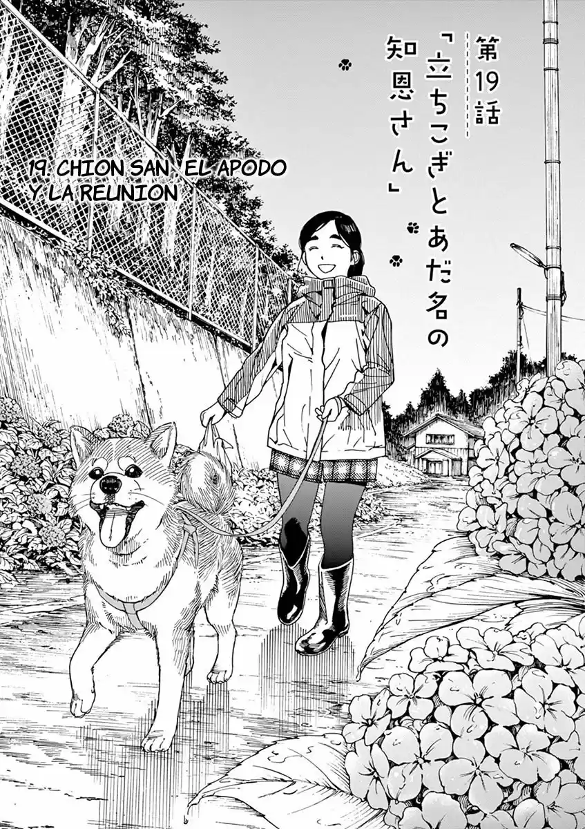Neko no Otera no Chion-san (2017) - Capítulo 19 - Página 3 - LectorTMOo