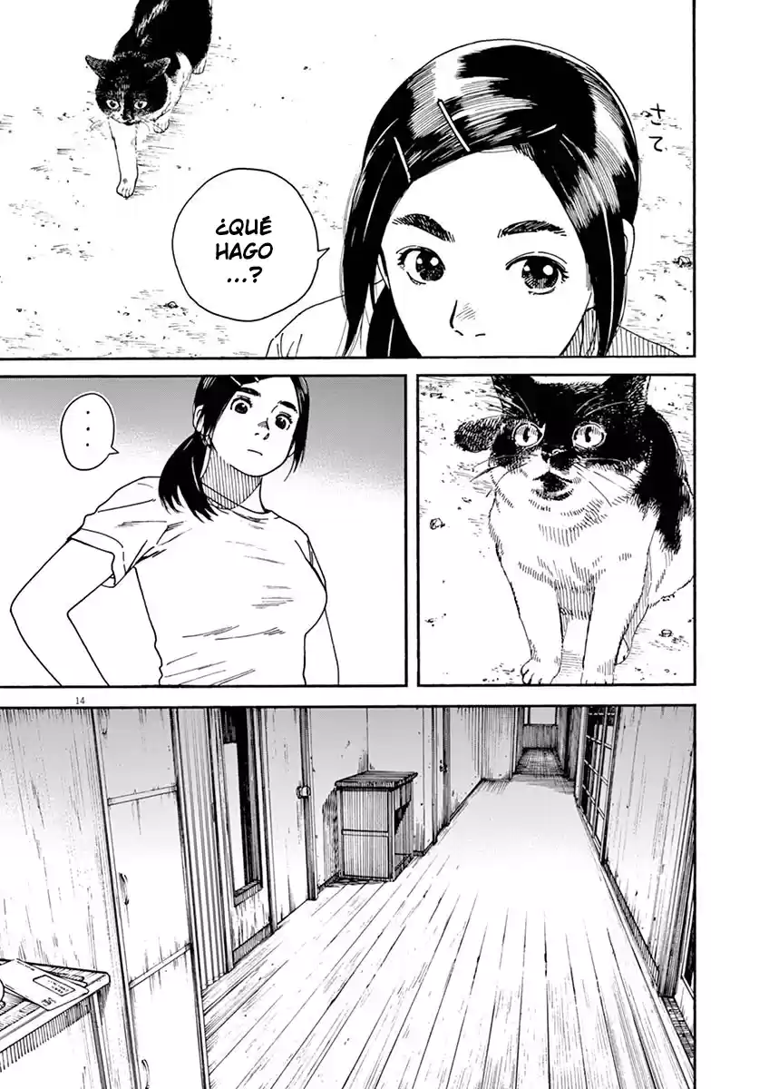 Neko no Otera no Chion-san (2017) - Capítulo 2 - Página 15 - LectorTMOo