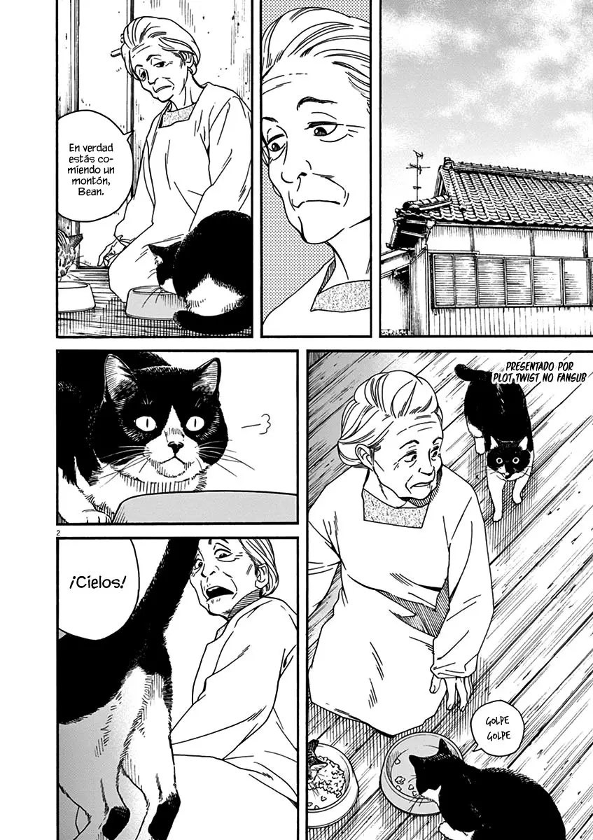 Neko no Otera no Chion-san (2017) - Capítulo 21 - Página 3 - LectorTMOo
