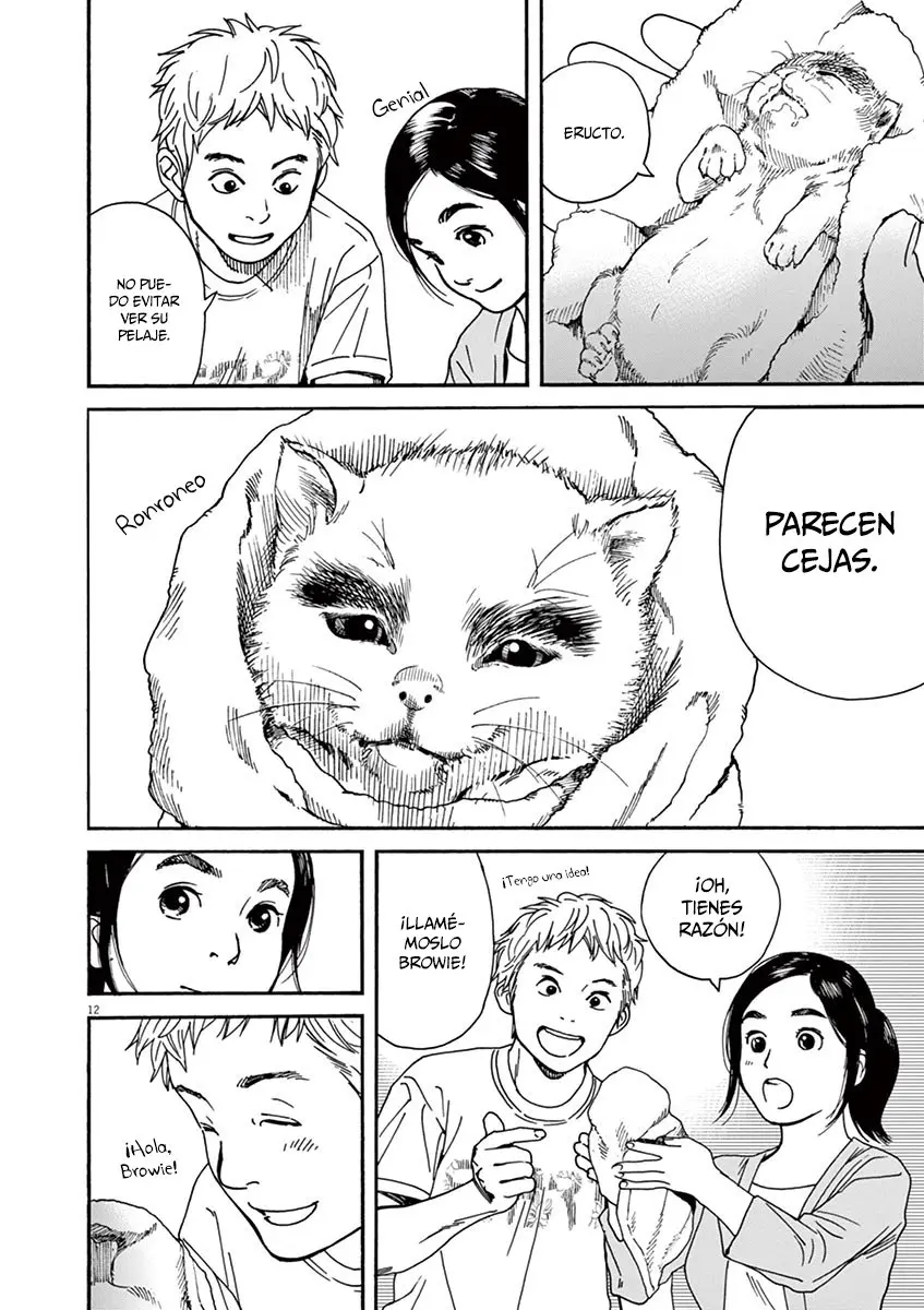 Neko no Otera no Chion-san (2017) - Capítulo 22 - Página 13 - LectorTMOo