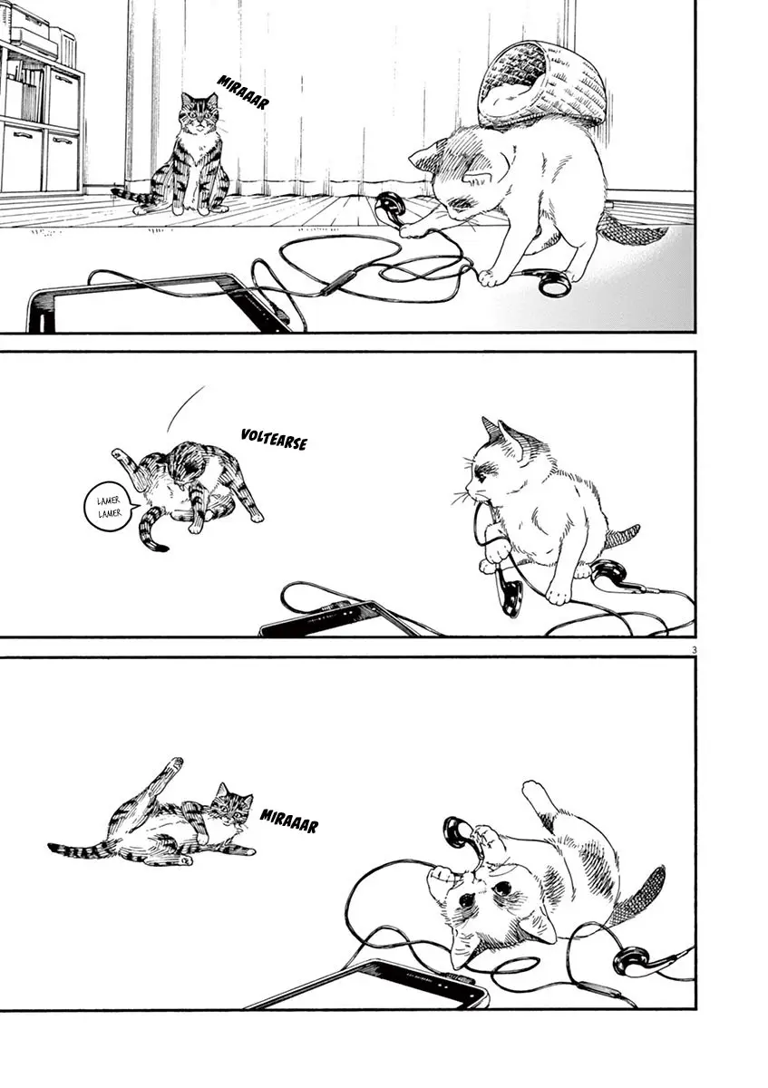 Neko no Otera no Chion-san (2017) - Capítulo 23 - Página 4 - LectorTMOo
