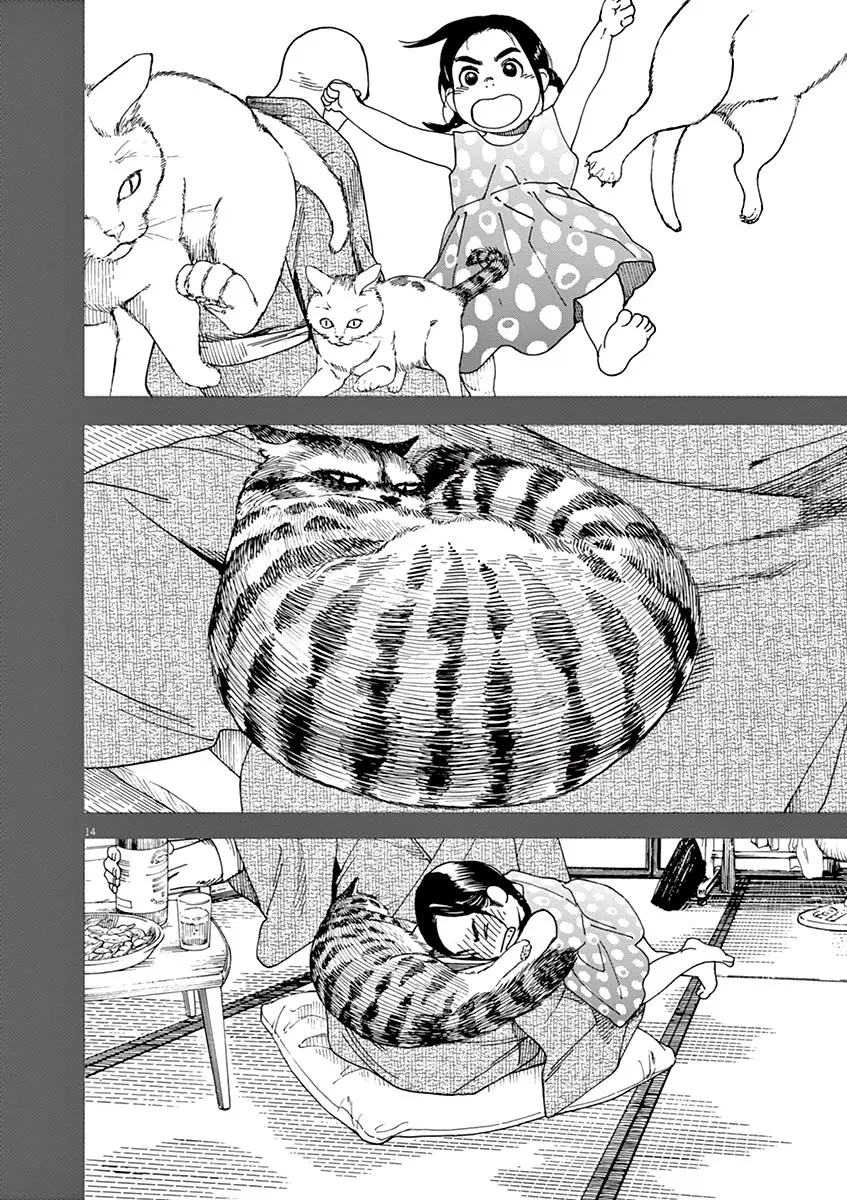 Neko no Otera no Chion-san (2017) - Capítulo 27 - Página 19 - LectorTMOo