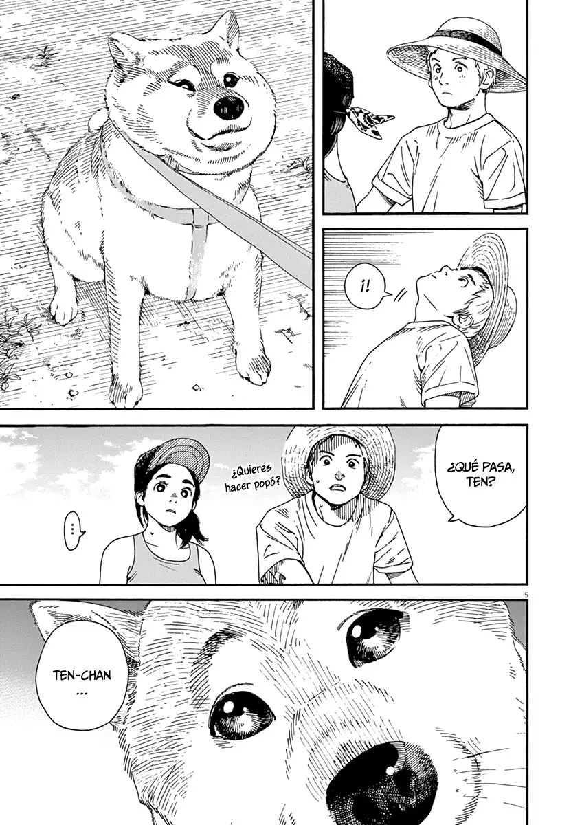 Neko no Otera no Chion-san (2017) - Capítulo 36 - Página 12 - LectorTMOo