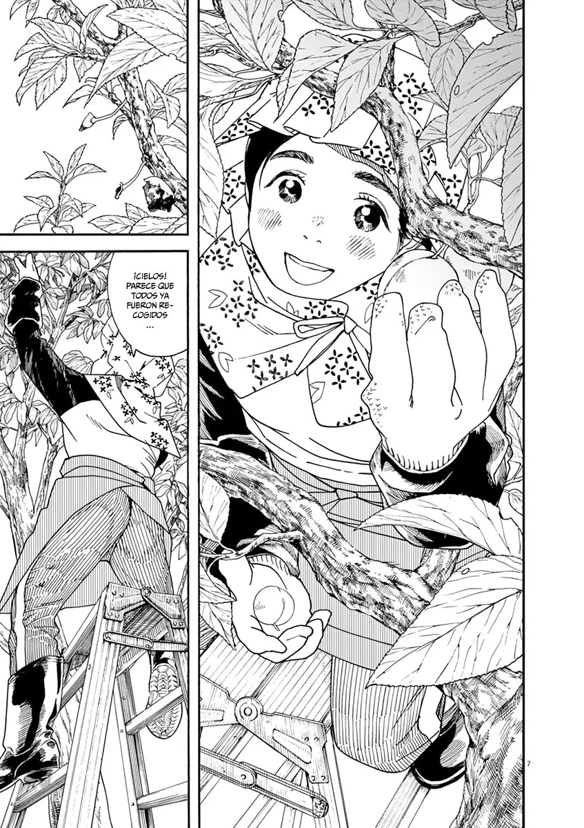 Neko no Otera no Chion-san (2017) - Capítulo 37 - Página 8 - LectorTMOo