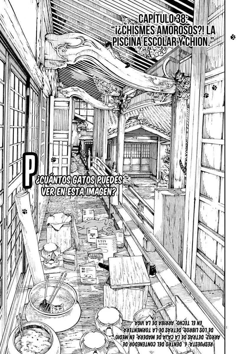 Neko no Otera no Chion-san (2017) - Capítulo 38 - Página 2 - LectorTMOo