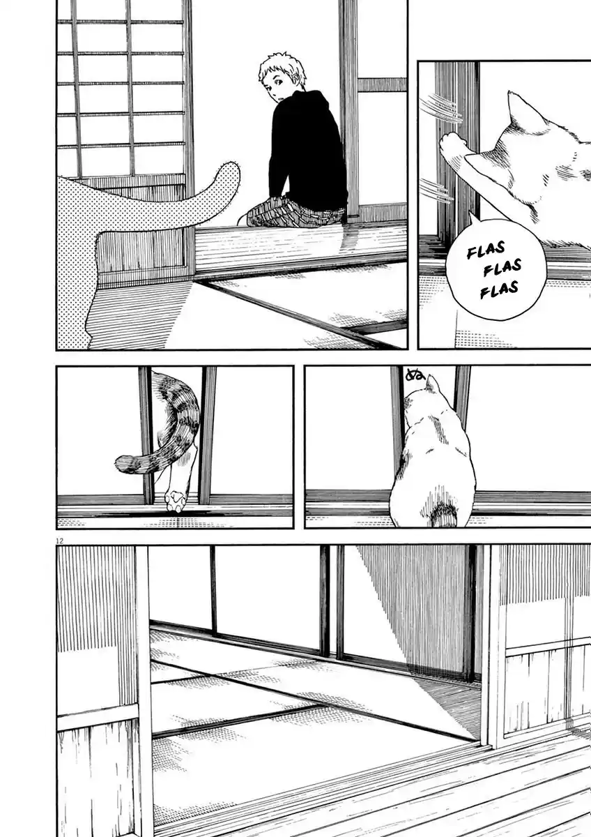 Neko no Otera no Chion-san (2017) - Capítulo 6 - Página 12 - LectorTMOo