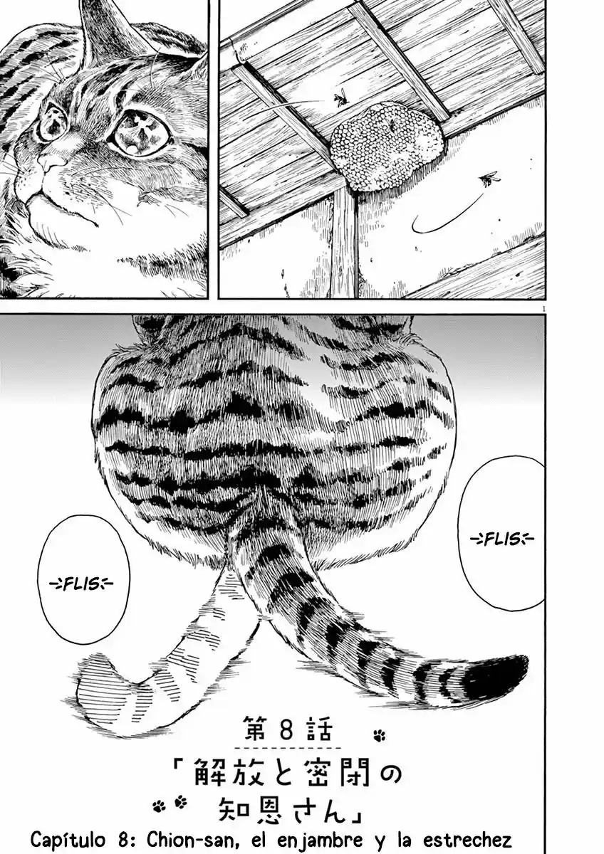 Neko no Otera no Chion-san (2017) - Capítulo 8 - Página 1 - LectorTMOo