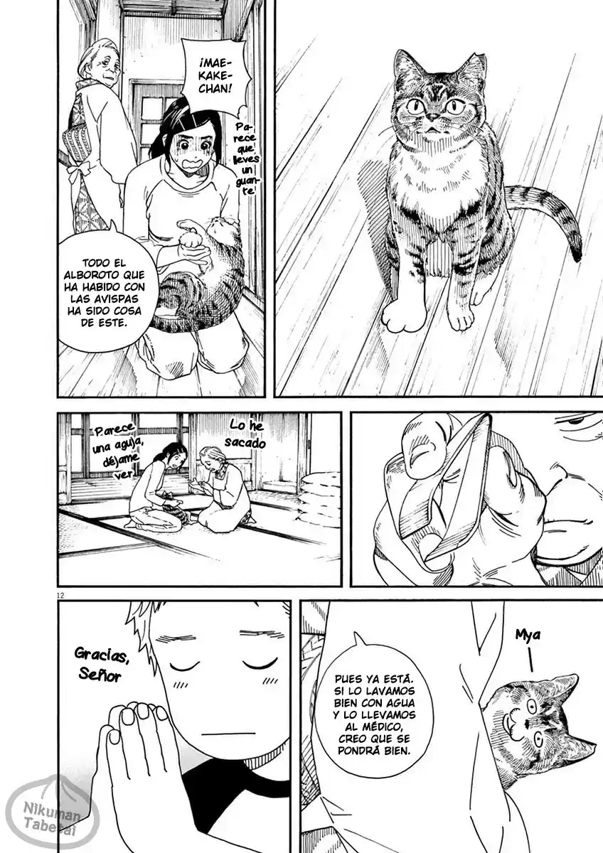 Neko no Otera no Chion-san (2017) - Capítulo 9 - Página 12 - LectorTMOo