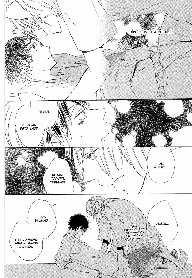 neko no yomeiri (2010) - Capítulo 3 - Página 23 - LectorTMOo