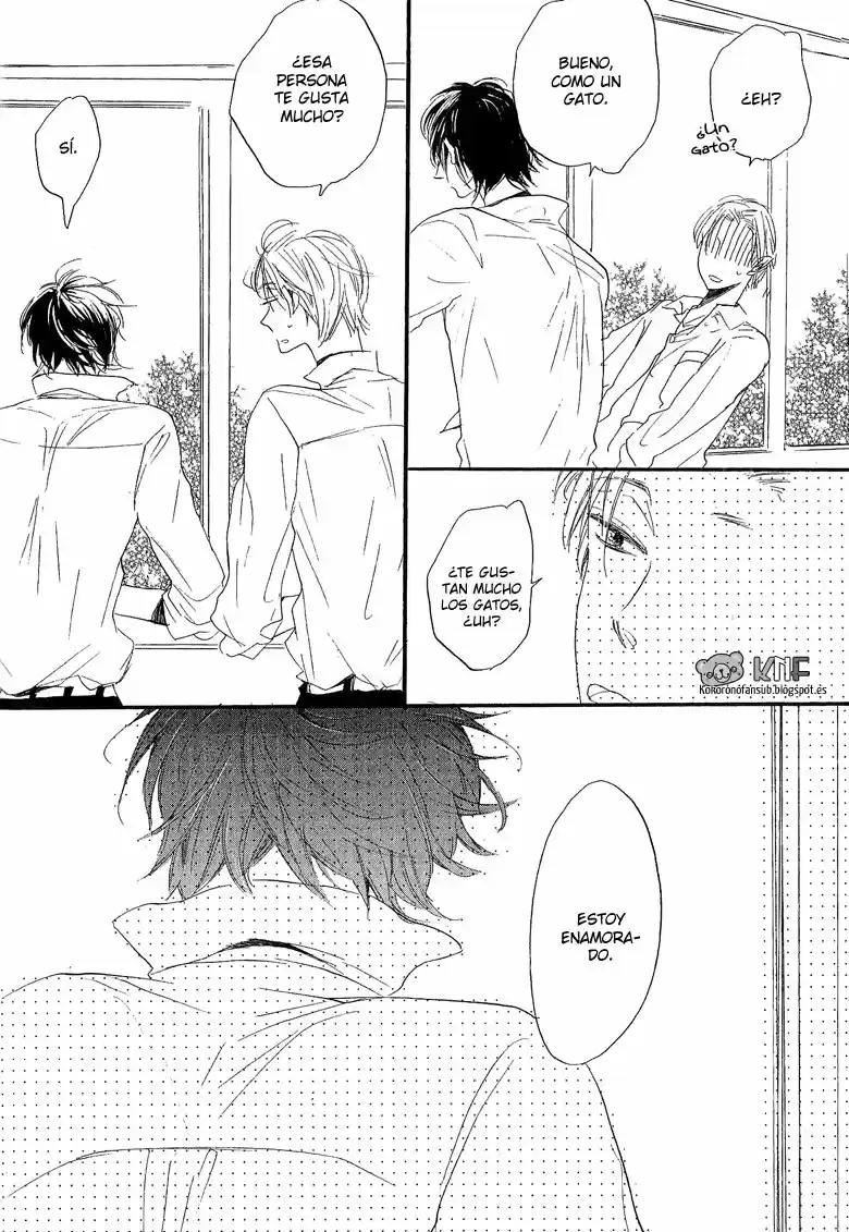 neko no yomeiri (2010) - Capítulo 4 - Página 5 - LectorTMOo
