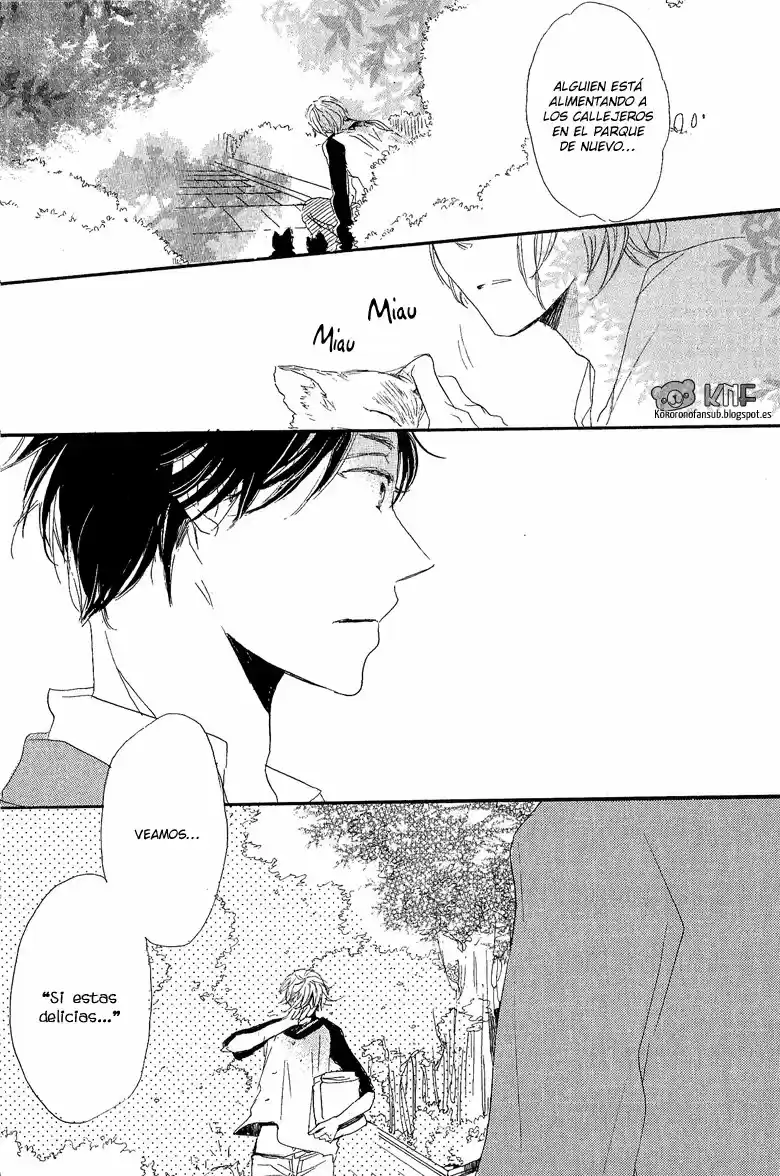 neko no yomeiri (2010) - Capítulo 4 - Página 29 - LectorTMOo