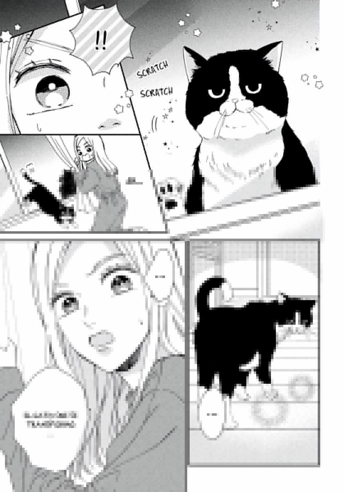 Neko to Kiss (2020) - Capítulo 1 - Página 19 - LectorTMOo
