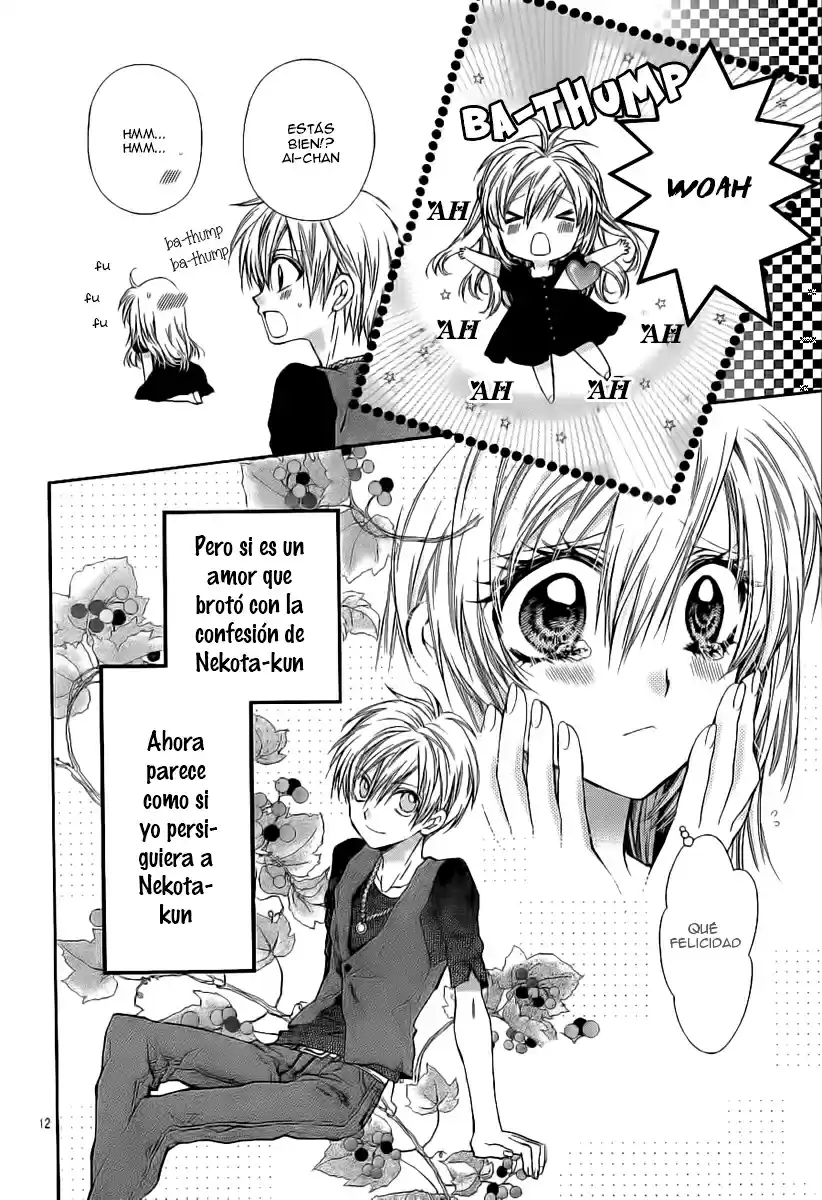Neko to Watashi no Kinyoubi (2013) - Capítulo 17 - Página 13 - LectorTMOo