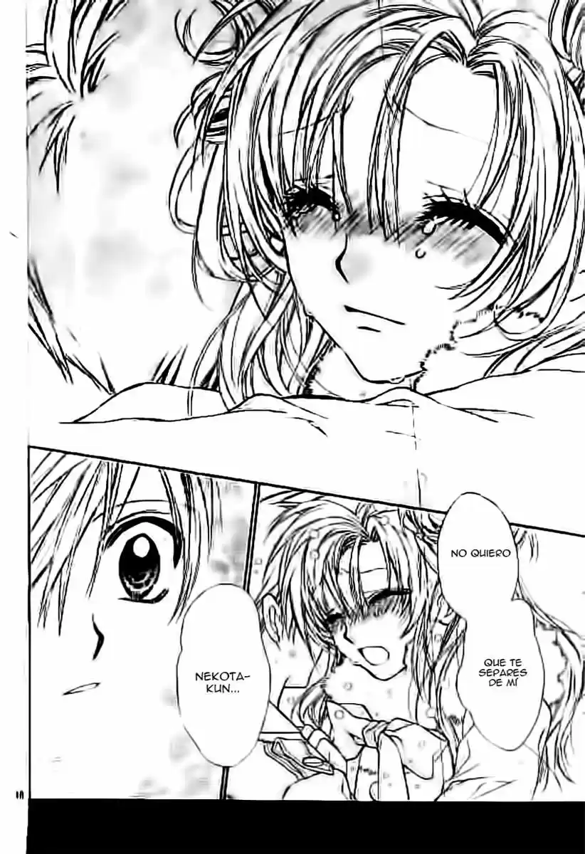 Neko to Watashi no Kinyoubi (2013) - Capítulo 23 - Página 19 - LectorTMOo